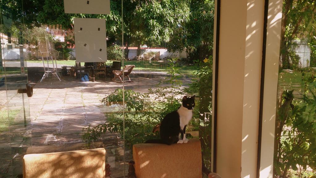 Posada Shalom Ασουνσιόν Εξωτερικό φωτογραφία